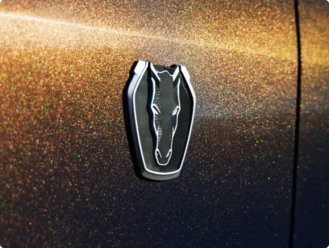 Mustang