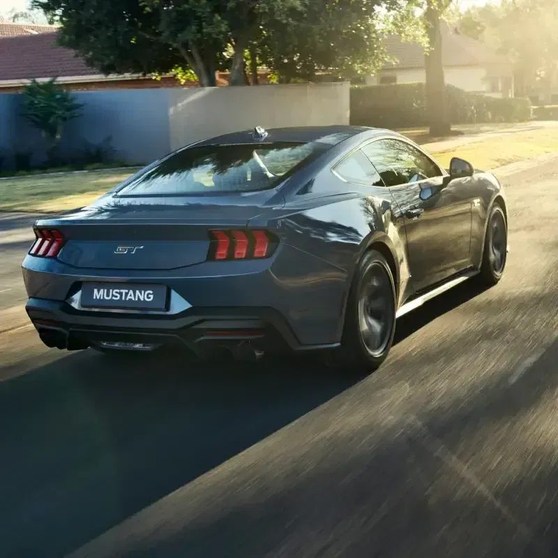 Mustang